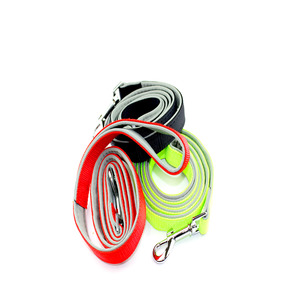 Training Accessories: Nylon Dog Leash With Soft Padding 20mm
