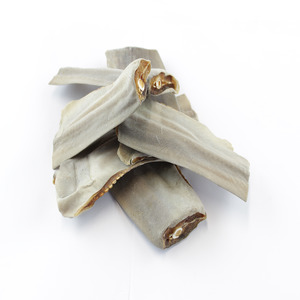 Treats For Cats: Shark Tail Dog Treats