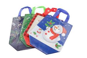 Christmas Pet Gift Bag with Gift Tag