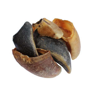 Beef Hooves