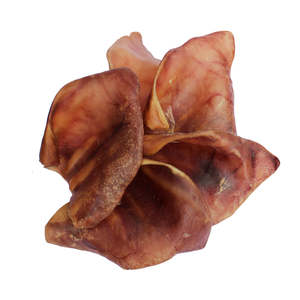Pigs Ears Dog Chews
