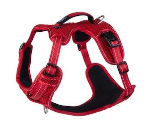 Rogz Explore Harness Special: Rogz Explore Harness Red Lge