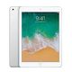 iPad (5th gen) (32GB) (wifi)