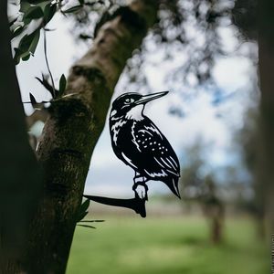 Giftware: Kingfisher