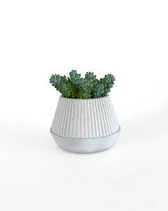 Concrete pots: Mini Concrete Planter