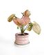 Pink Ceramic Plant Pot