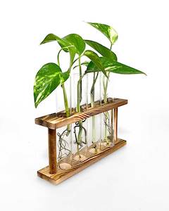 Propagation Stations: Propagation Station Quadruple