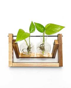 Propagation Stations: Propagation Station - Double