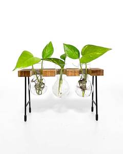 Propagation Station - Triple