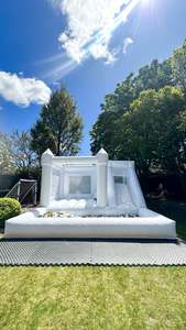 Bounce Houses More: Slide & Ball Pit Bounce House