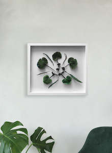 Cathy Brickhill: NZ Ferns