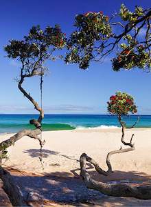 Holidays: Wish You Were Here - Photographic Print