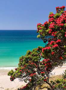 Holidays: Slice of Heaven - Photographic Print