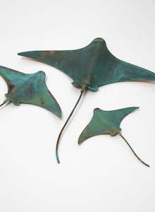 Stingray - Set of 3 #4