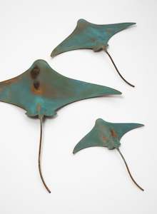Stingray - Set of 3 #7