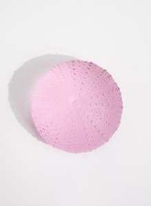 Gifts Under 150: 2XLarge Sea Urchin - Pink