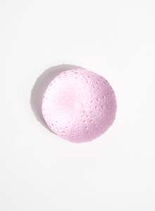 Medium Sea Urchin - Pink