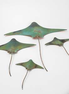 Stingray - Set of 4 #5