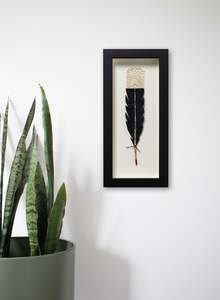 Single Huia Feather Framed