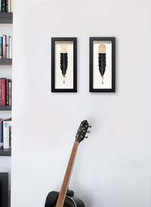 Single Huia Feather Framed