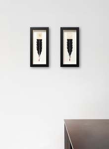 Single Huia Feather Framed