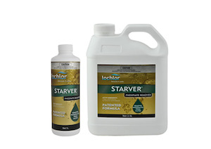 Lochlor Iron Stain Remover