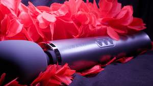 Le Wand: LE WAND - Rechargeable 10-Speed Vibrating Cordless Wand Massager