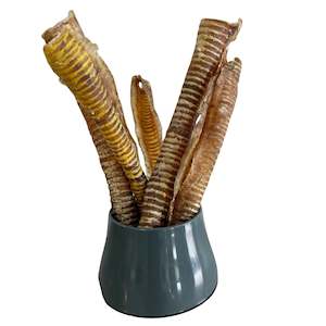 Frontpage: Air-Dried Beef Trachea Supersized: Natural Chew for Pets' Dental Health