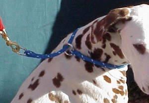 Limited Slip Collars 1: Rope Collar