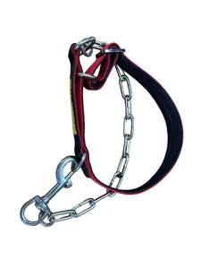 Limited Slip Collars 1: Collar & Neck Chain