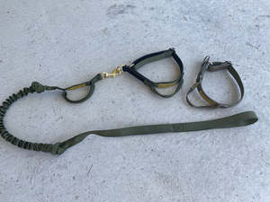 Leads 1: Tactical Gain Bungy Lead