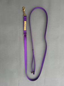 Leads Small Dogs: 2 in 1 Lead - Small Dogs