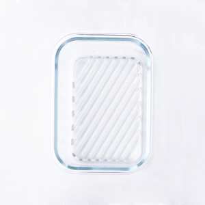 Vac-U-Seal Container 650ml Insert