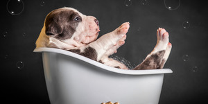 Products: Natural Washes