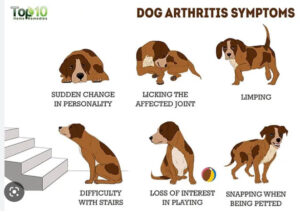 OIL THOSE HINGES arthritis relief oral drops