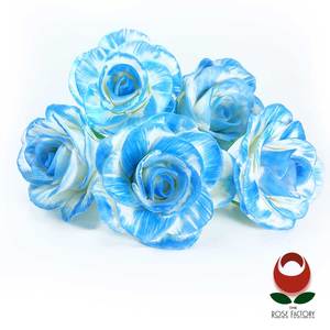 Flower Spray (1000) – The Rose Factory