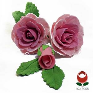 Flower Spray (981) – The Rose Factory