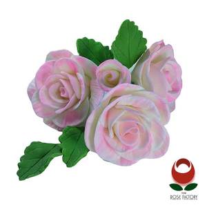 Flower Spray (989) – The Rose Factory