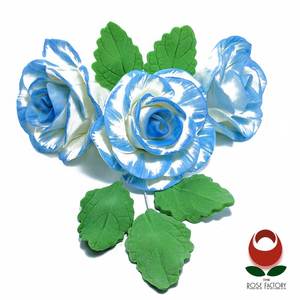 Flower Spray (996) – The Rose Factory