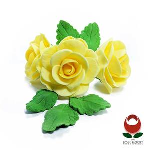 Flower Spray (997) – The Rose Factory