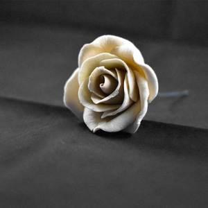 Ivory Rose Flower – The Rose Factory