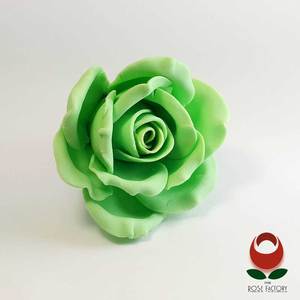 Products: Green Rose Flower – The Rose Factory
