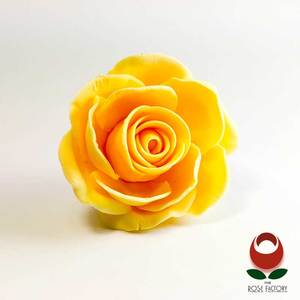Yellow Rose Flower – The Rose Factory