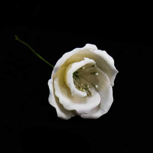 Products: White Lisianthus Flower – The Rose Factory