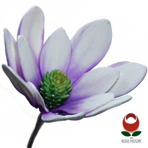 Large Gum Paste Flower (1086) – The Rose Factory