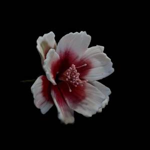 Products: Large Red Coreopsis Gumpaste Flower – The Rose Factory