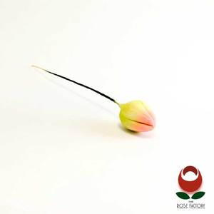 Cherry Blossom bud(1027) – The Rose Factory