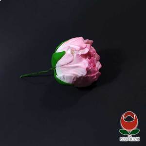Peony Bud (1251) – The Rose Factory