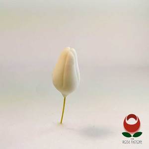 Filler Flower Bud – The Rose Factory