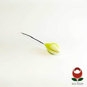 Green Filler Flower Bud (674) – The Rose Factory